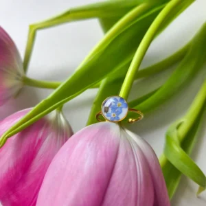 Różne formy niezapominajek