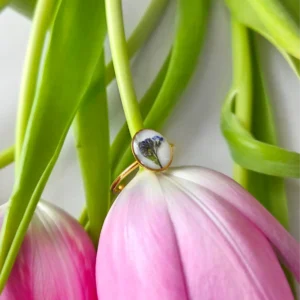 Gałązka niezapominajki