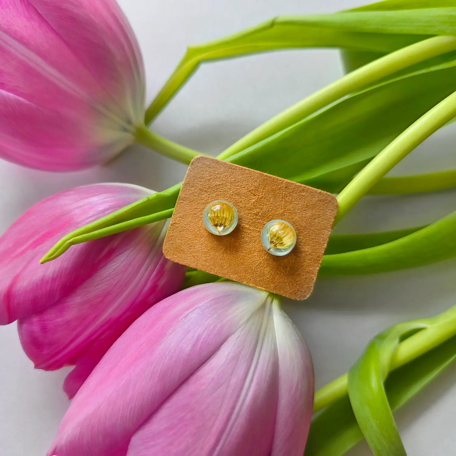 Roślinka na błękitnym tle