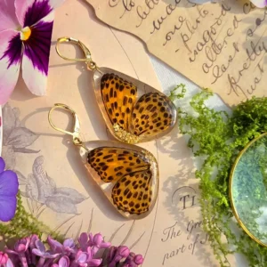 W Krainie Cętek i Cudów