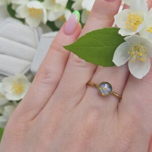 Delikatność niezapominajki